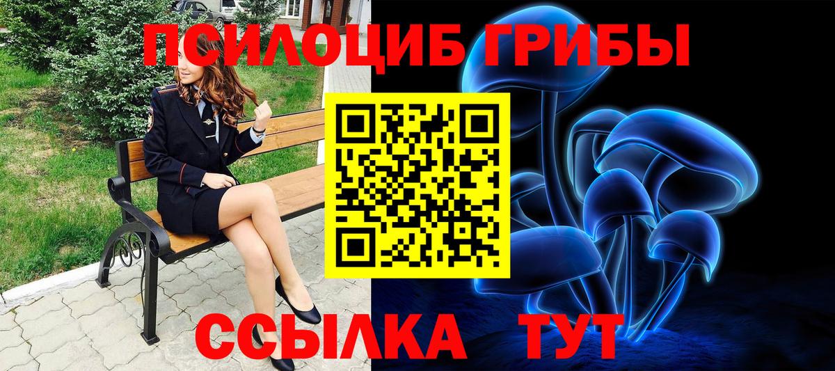 Галлюциногенные грибы прущие грибы Дербент